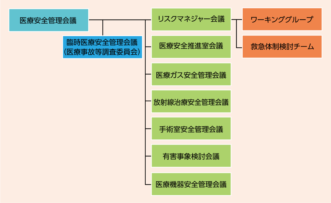 A01958141]薬剤師に役立つ医療安全管理の考え方―病院・薬局に活かせる