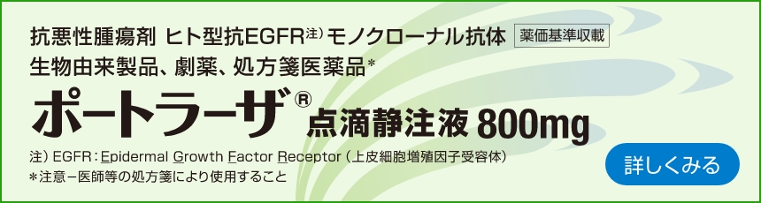 ポートラーザ点滴静注液800mg